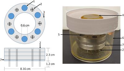 Physioxia Stimulates Extracellular Matrix Deposition and Increases Mechanical Properties of Human Chondrocyte-Derived Tissue-Engineered Cartilage